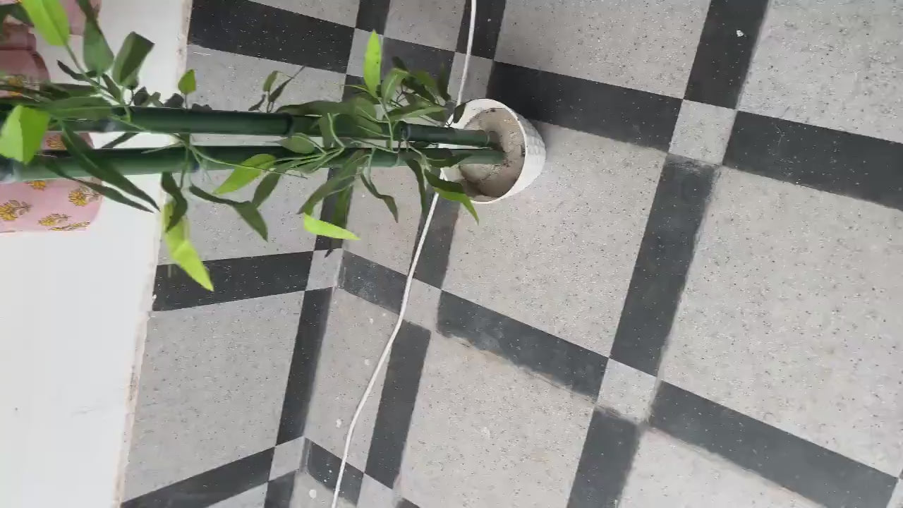 Floral Block Print Cotton Midi Dress: Ethically Handcrafted Summer Dress